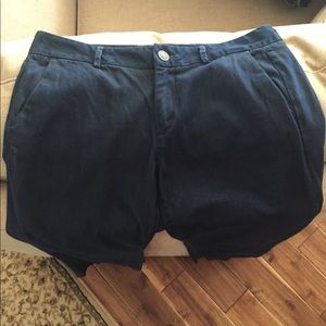 Ann Taylor Loft Curvy denim pants. Size 8